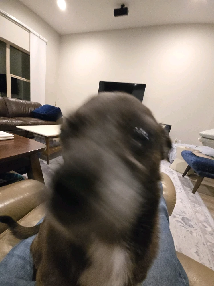 Image uploaded by Aaron