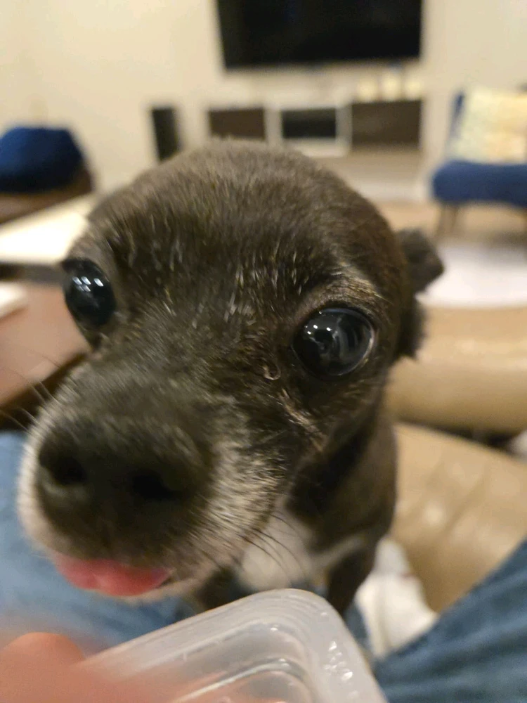 Image uploaded by Aaron