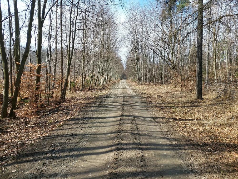 Obrázek nahrál Pavel