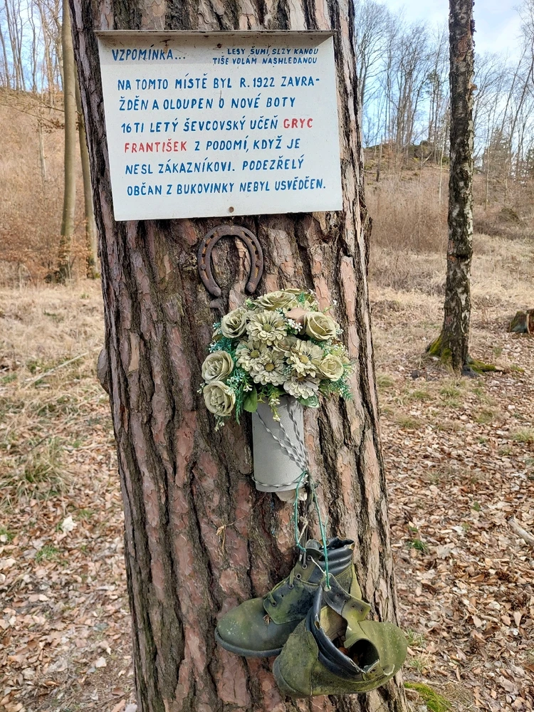 Obrázek nahrál Pavel