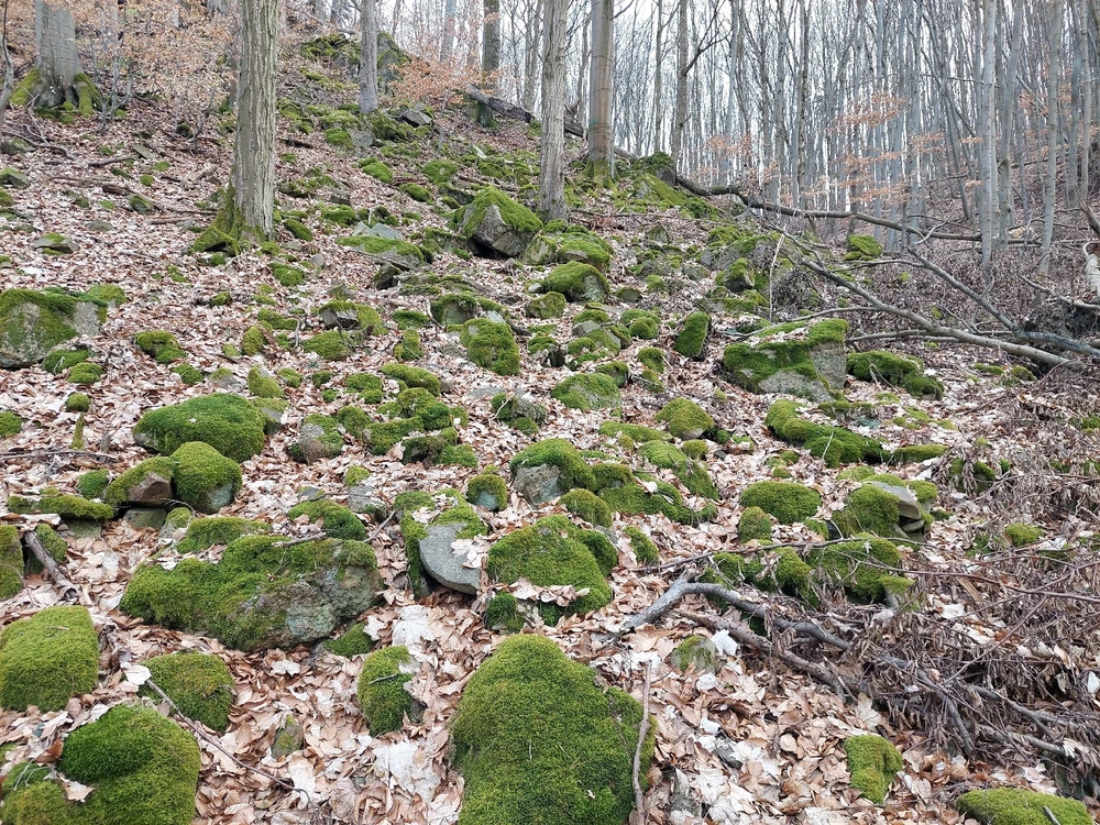 Obrázek nahrál Pavel