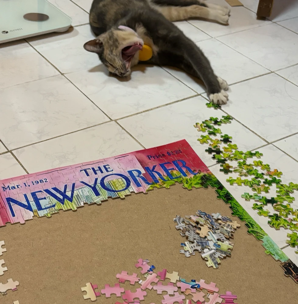 Image uploaded by Pat♡