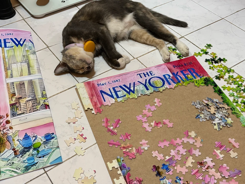 Image uploaded by Pat♡