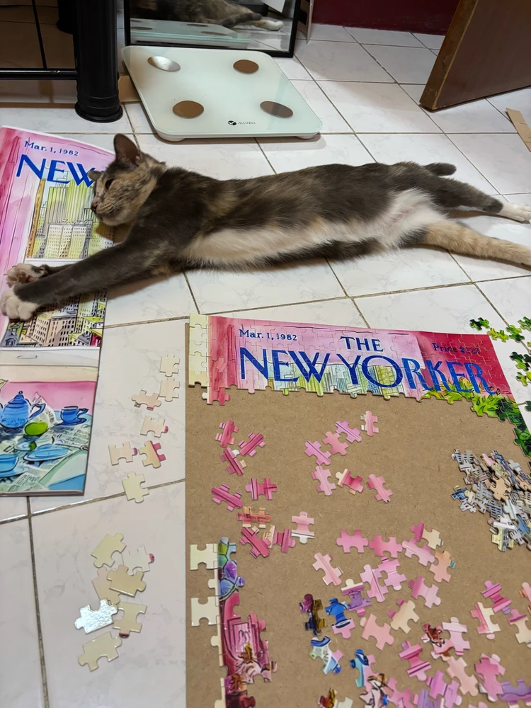 Image uploaded by Pat♡