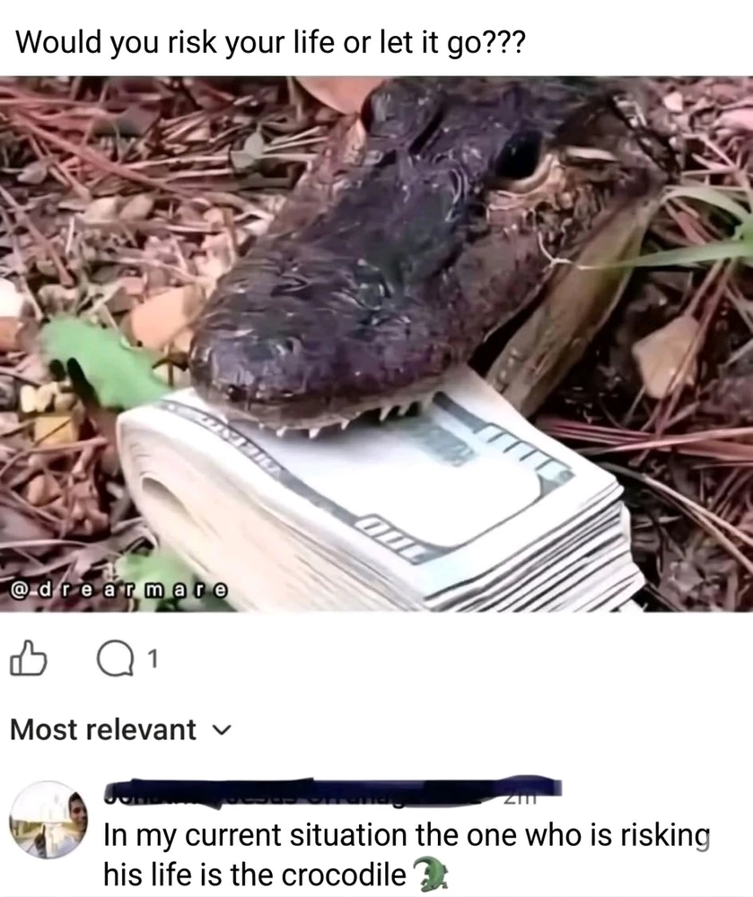 GIF uploaded by ꧁꫱꧂ 𝒴𝓊𝓂𝒿𝑒𝓎 ꧁꫱꧂