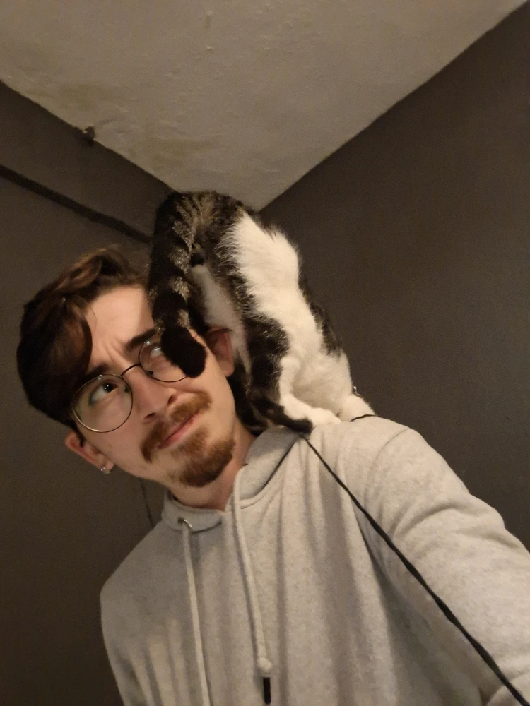 Image uploaded by alp