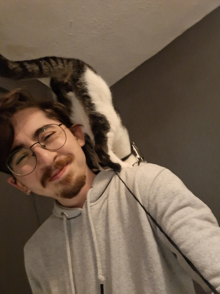 Image uploaded by alp