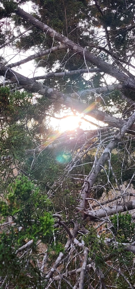 GIF uploaded by Aiden