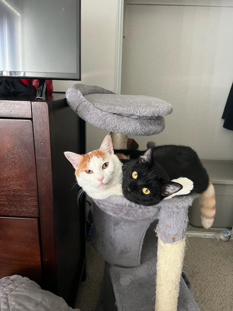 GIF uploaded by Alexander