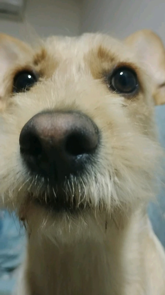 GIF subido por Yamir