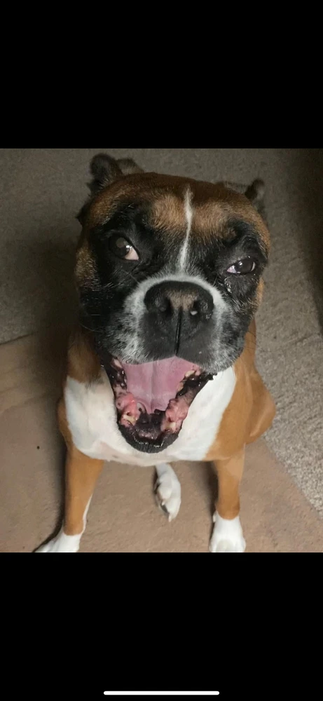 Image uploaded by Danny