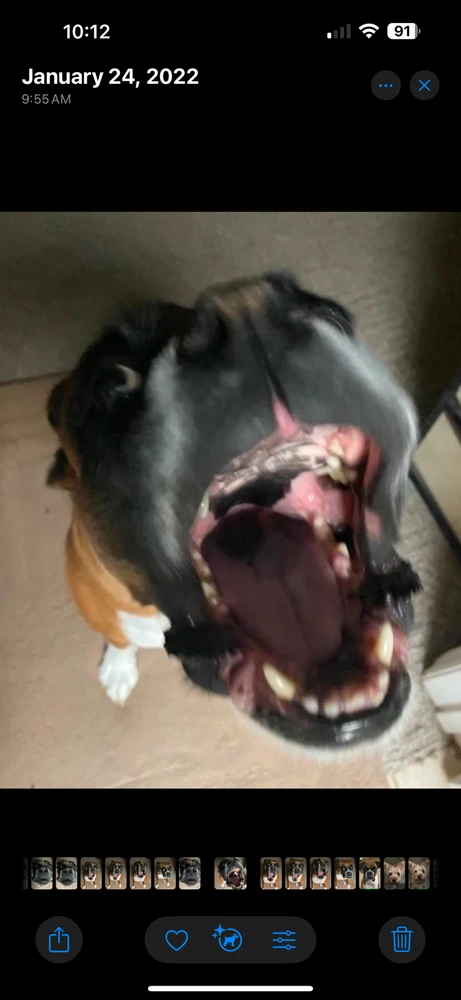 Image uploaded by Danny