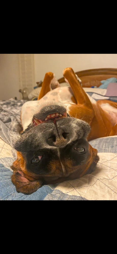 Image uploaded by Danny