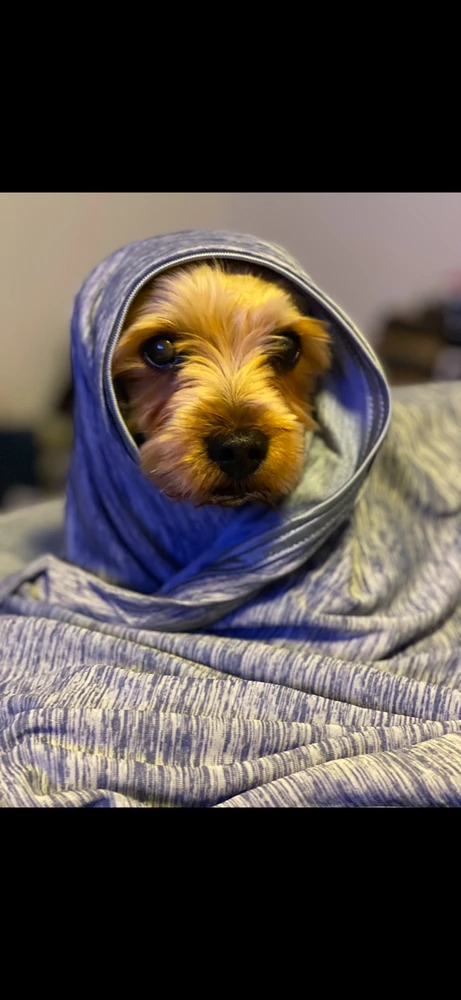 Image uploaded by Danny