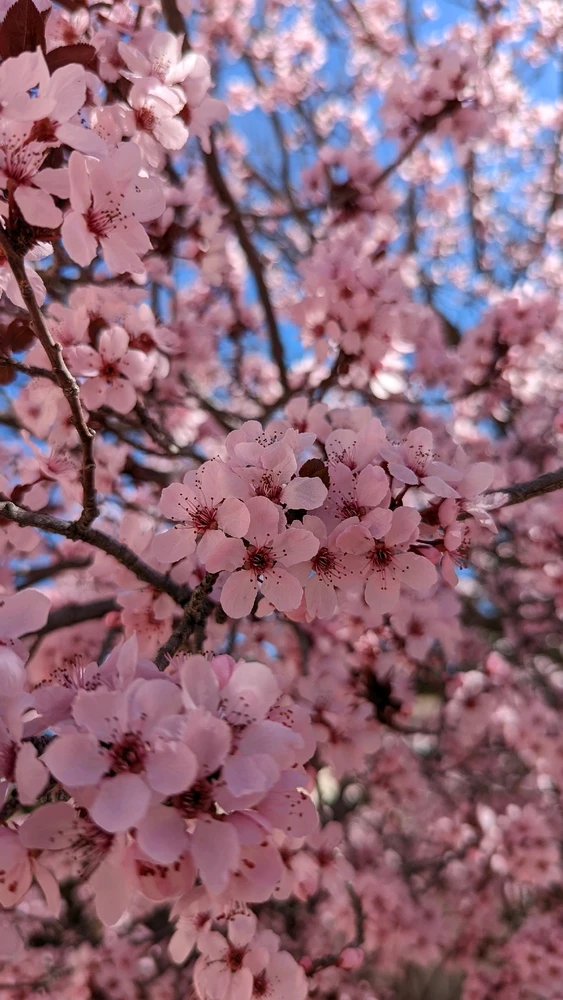 GIF uploaded by Sarah