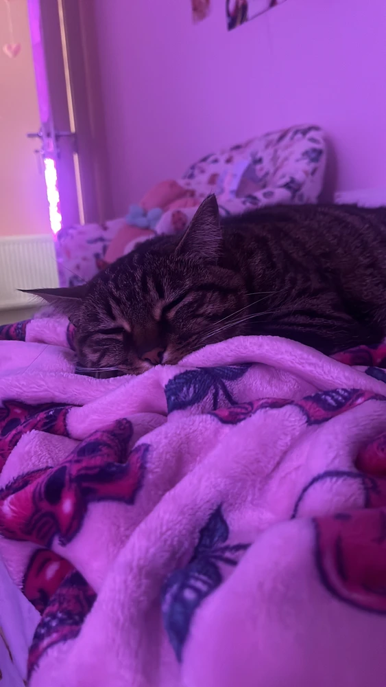 Image uploaded by Serenity