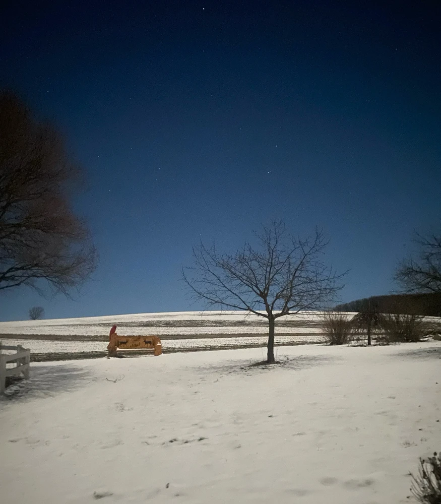 GIF uploaded by Thomas