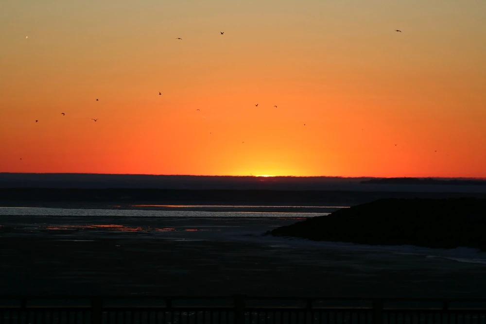 GIF uploaded by Andrew