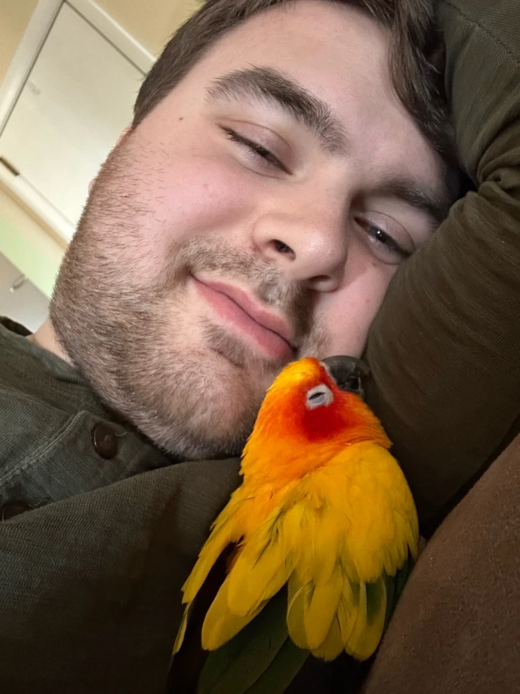 GIF uploaded by Michael