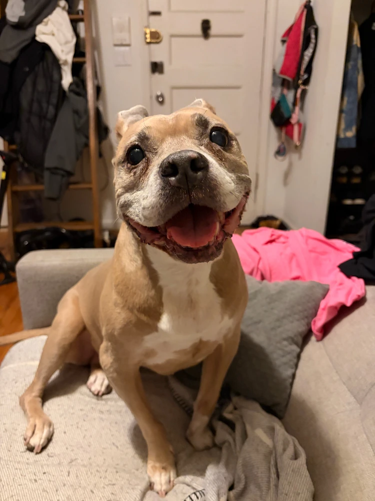 Image uploaded by Jordan