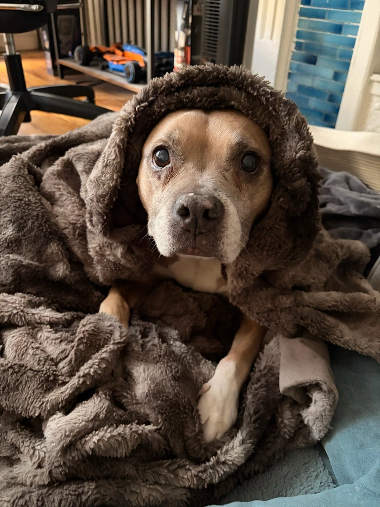 Image uploaded by Jordan