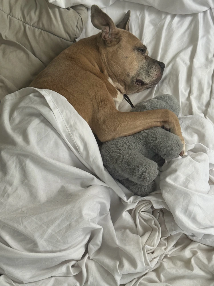 Image uploaded by Jordan