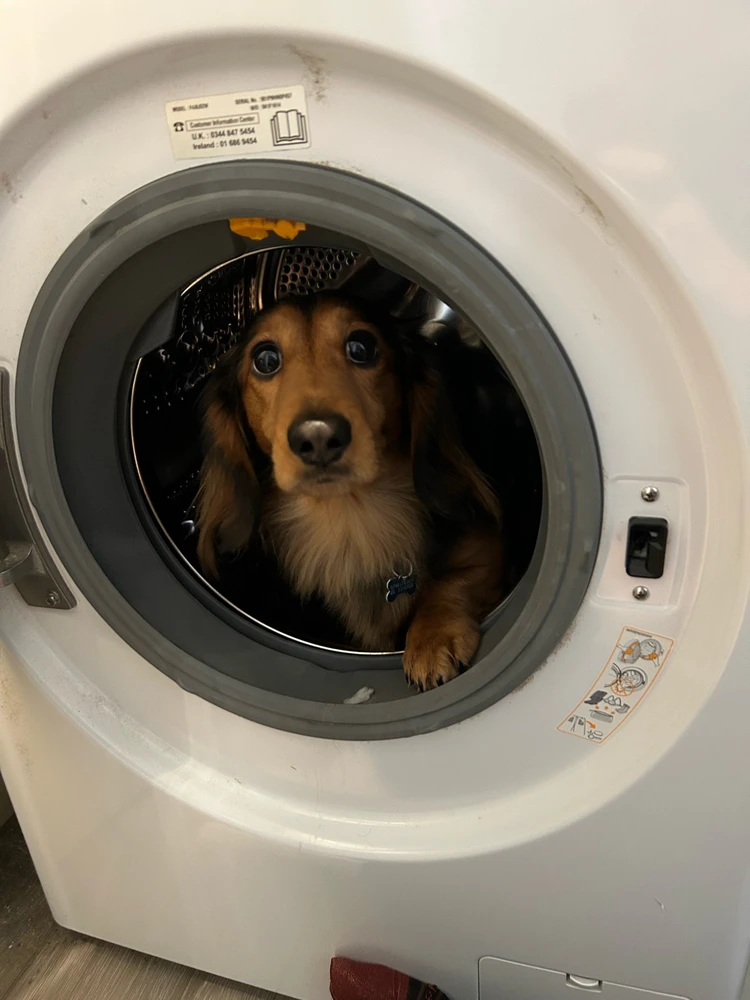 GIF uploaded by Jake