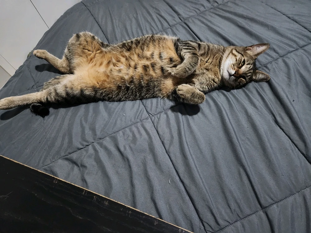 GIF uploaded by Alex