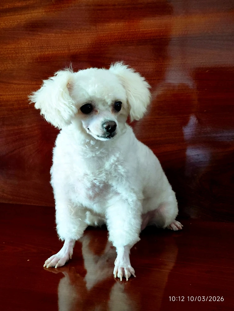 Ảnh do Felix Tuong tải lên