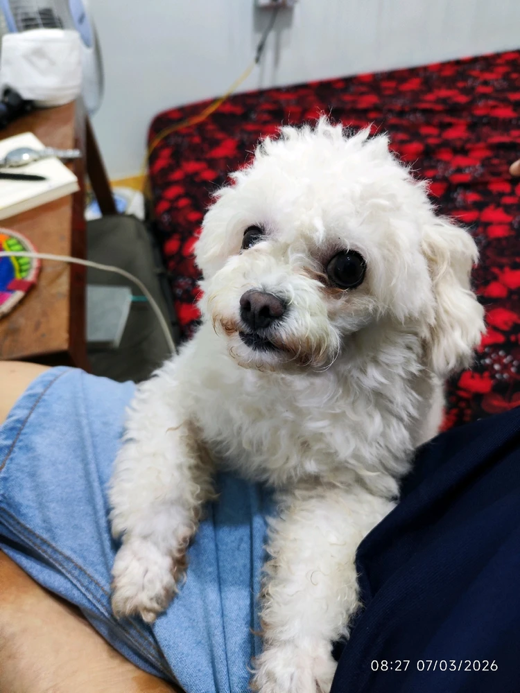 Ảnh do Felix Tuong tải lên