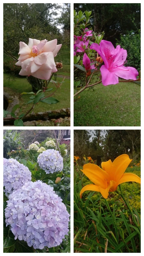 GIF uploaded by Mario Benediktus