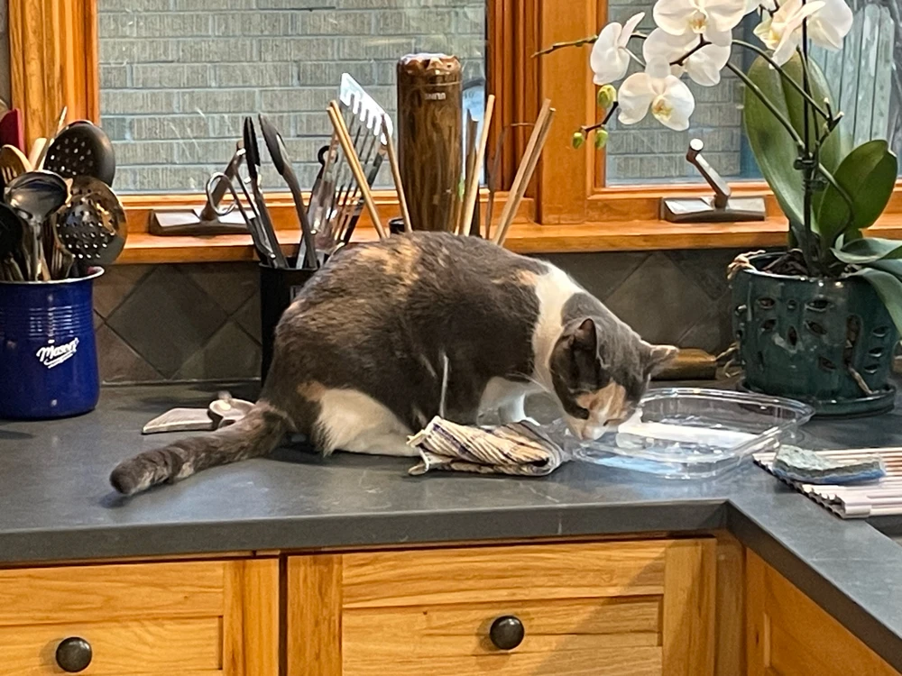 GIF uploaded by Robbie