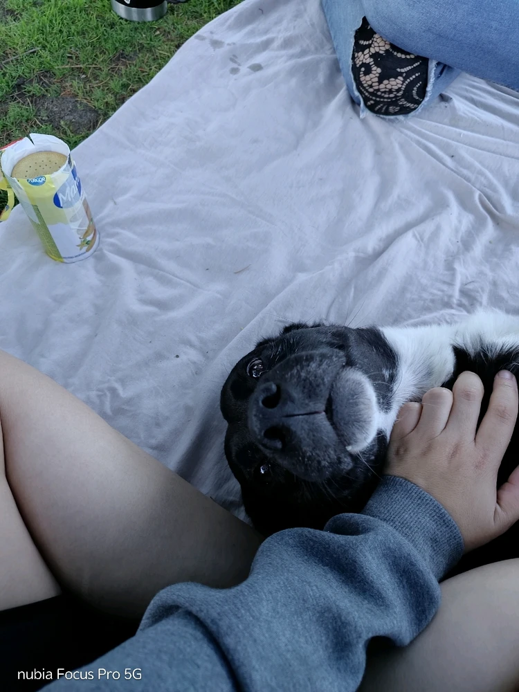 GIF subido por Mariel