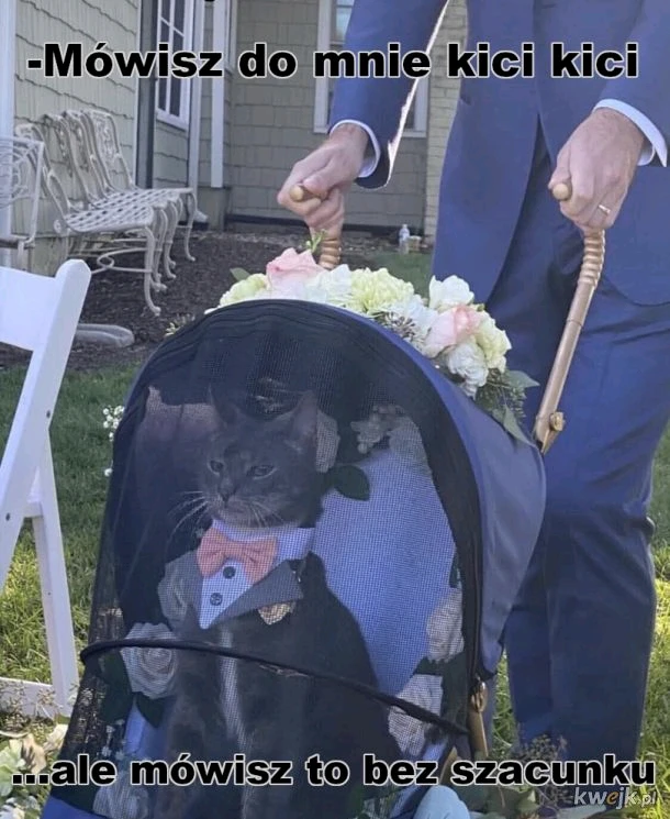 GIF dodany przez C16H34