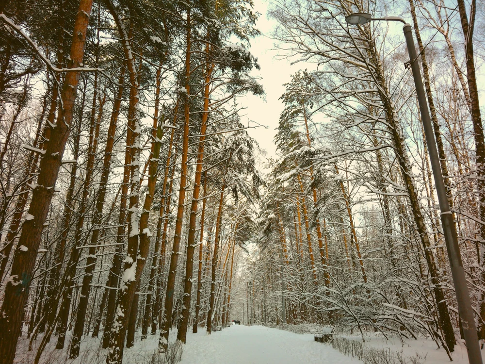 Image uploaded by Lexi