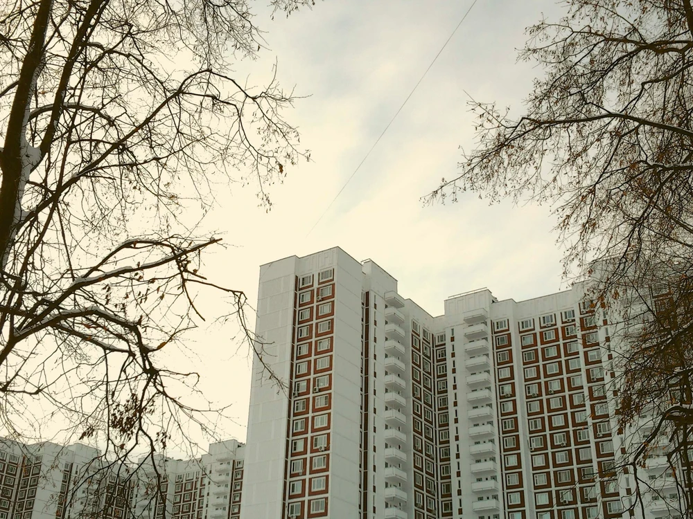 Image uploaded by Lexi