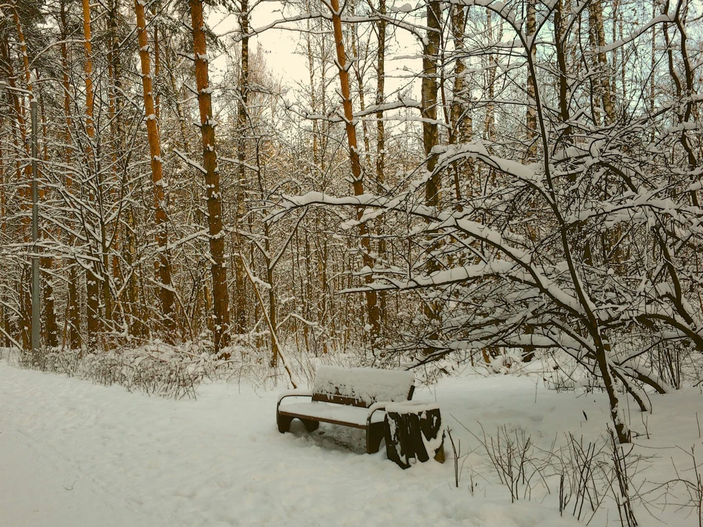 Image uploaded by Lexi