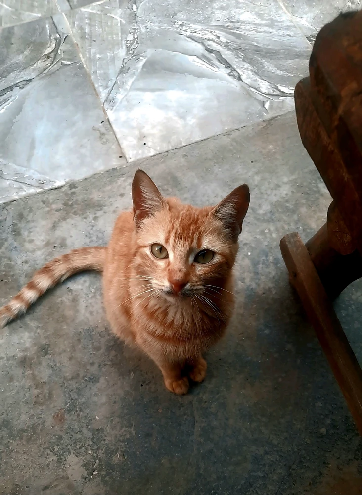 GIF uploaded by Raed