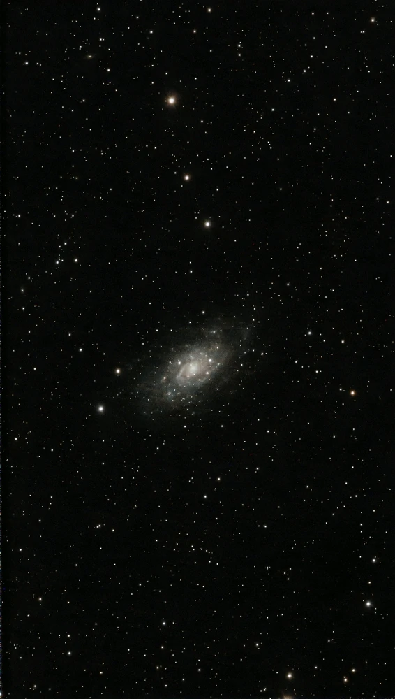 Image uploaded by Mike