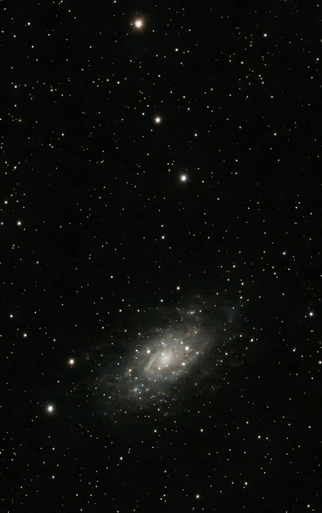 Image uploaded by Mike