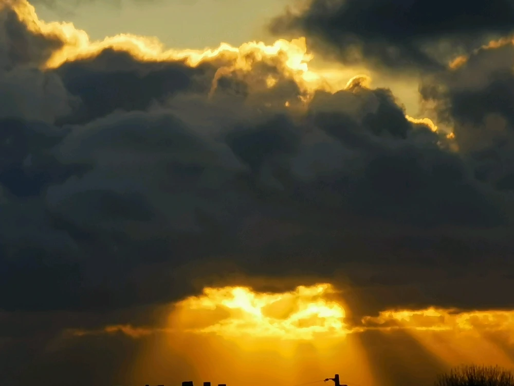 Image uploaded by Sergio