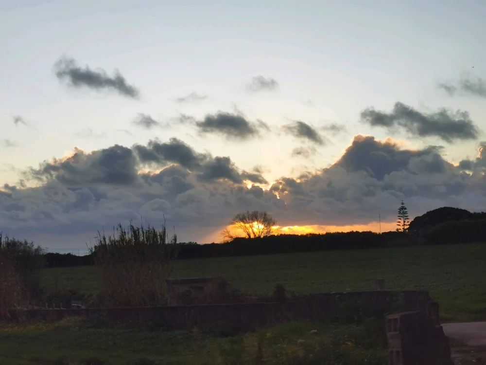 Image uploaded by Sergio