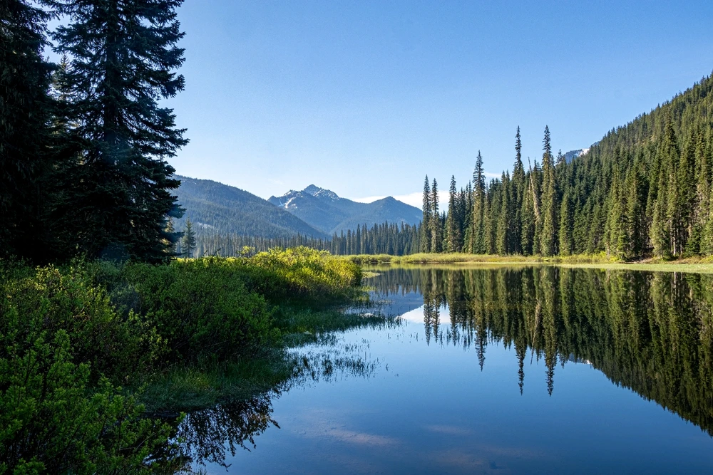 GIF uploaded by Kurtis