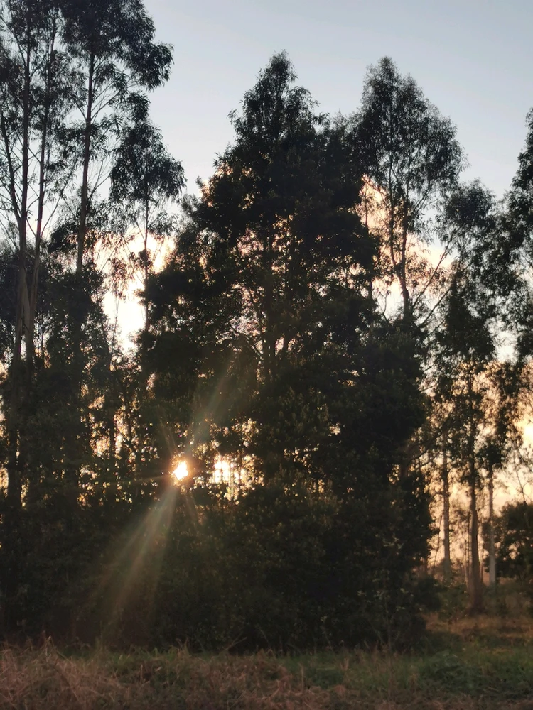 GIF uploaded by Sergio