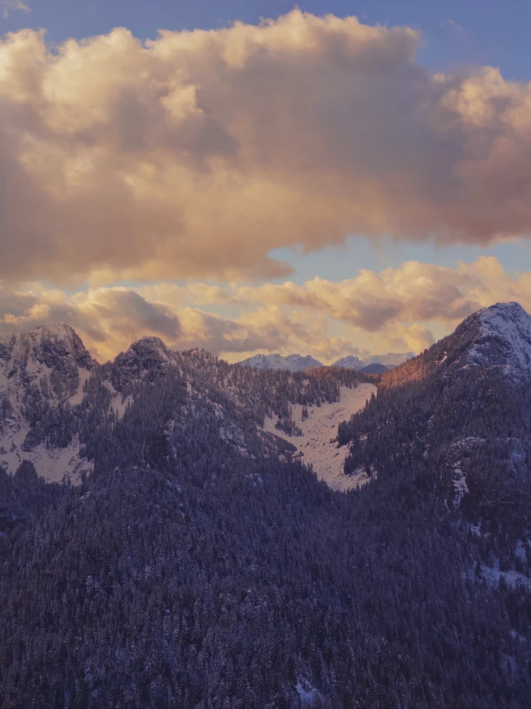 GIF uploaded by Reet