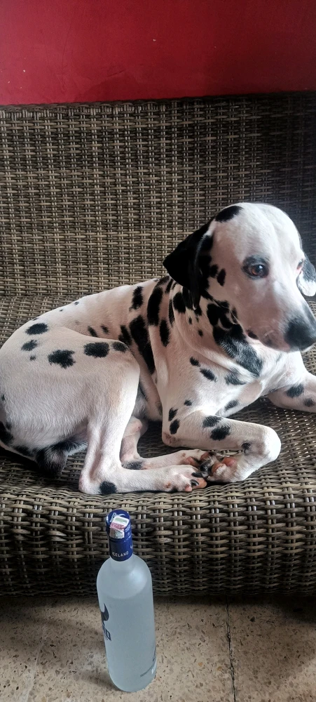 GIF diunggah oleh Ness