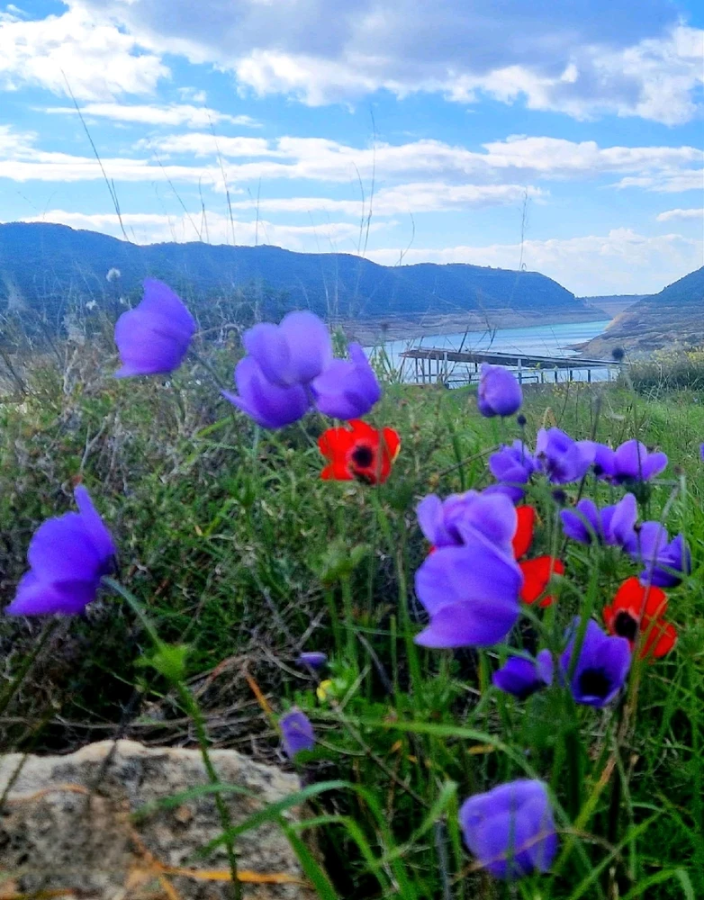 GIF ανέβηκε από Anastasia