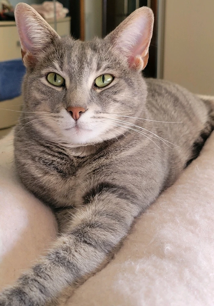 GIF caricata da Stefy