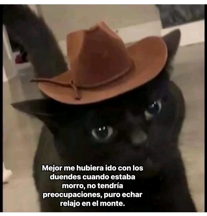 GIF subido por Kanemin