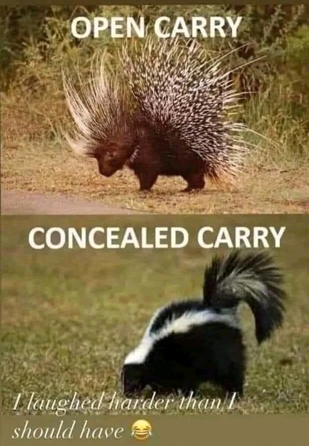 GIF uploaded by Martin